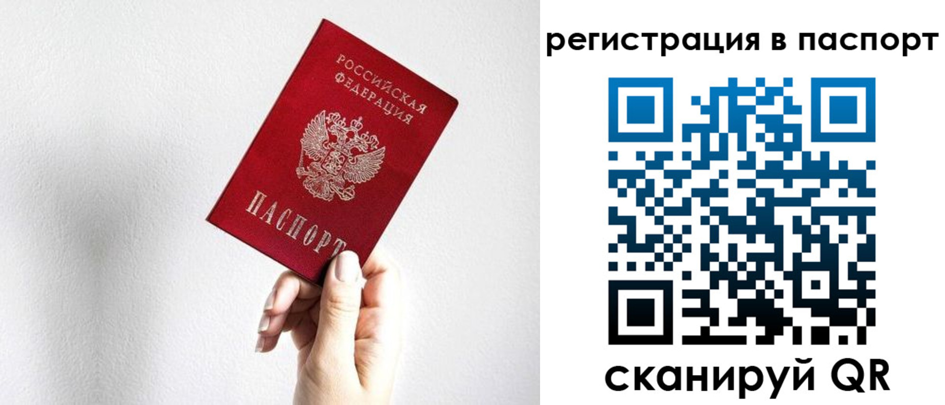прописка законно в Светлом